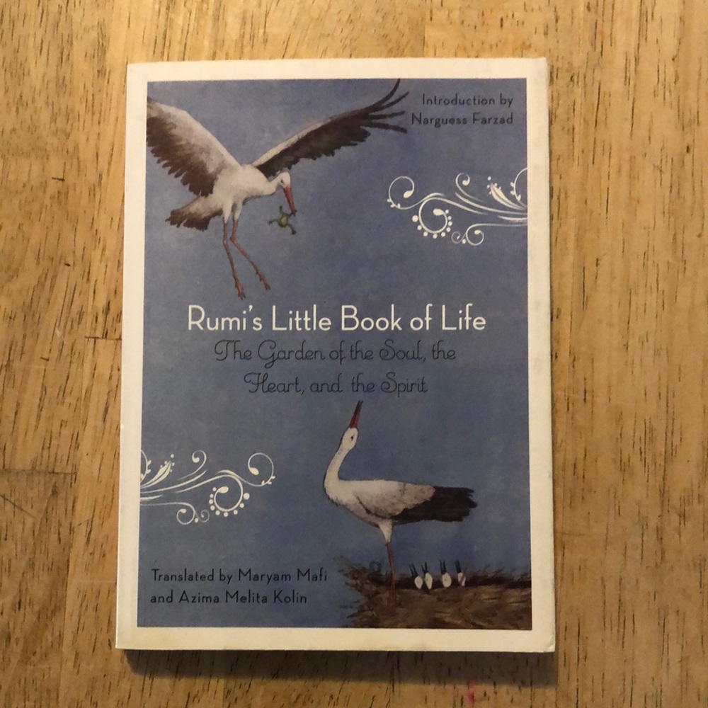 Rumi's Little Book of Life